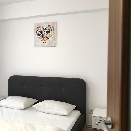 Central View Apartment Timisoara Esterno foto