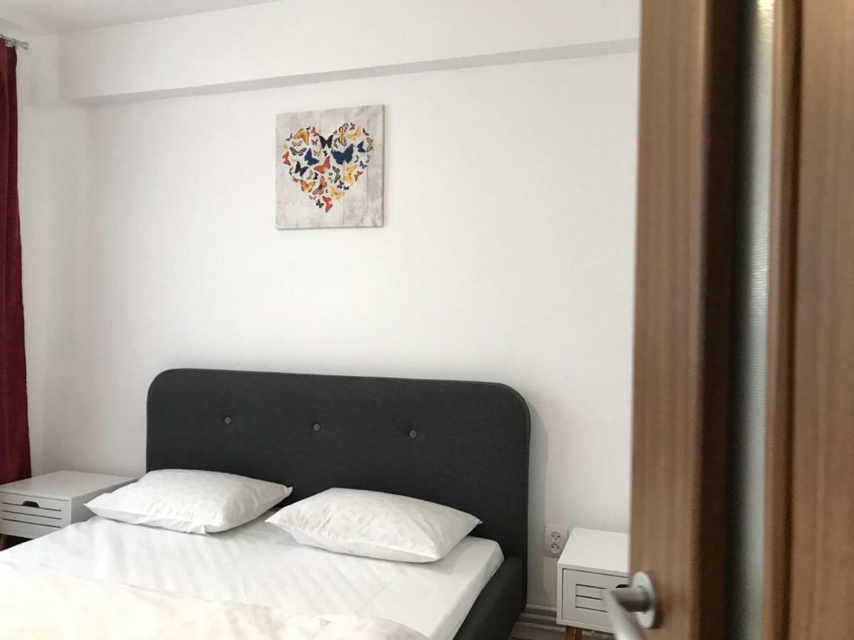 Central View Apartment Timisoara Esterno foto