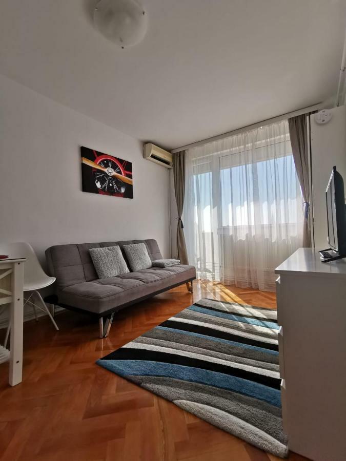 Central View Apartment Timisoara Esterno foto